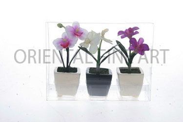 CH-12-709-N 
MIXED OF 3 ORCHID