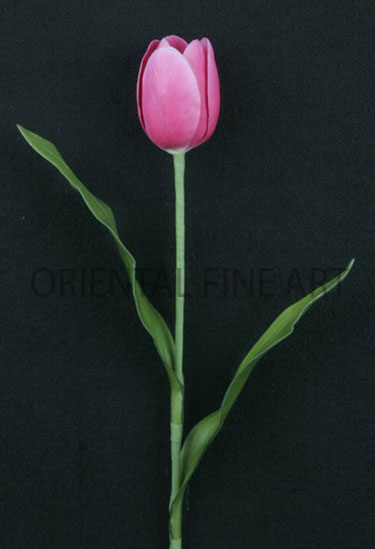 PT-0029-A 
TULIP