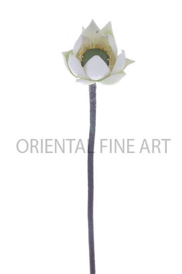 PT-0464-N 
SINGLE LOTUS