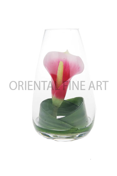 FVS-405-L 
CALLA LILLY