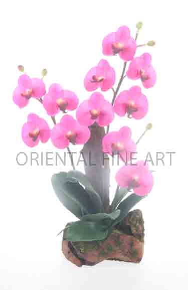 ARMC-57006-N 
PHALAENOPSIS