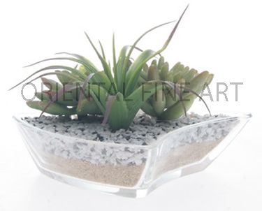 1P00101-B-587-N 
CACTUS