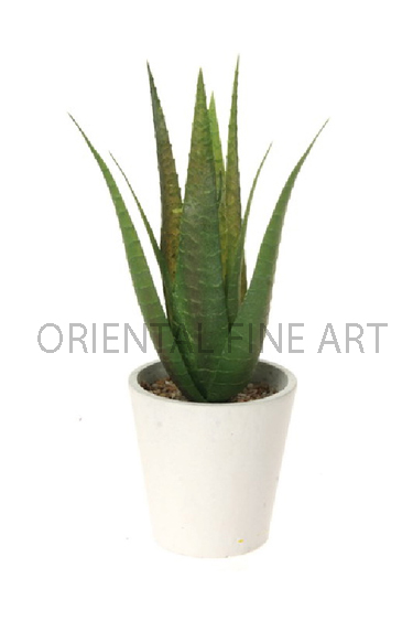 T-016-W 
TREE IN POT