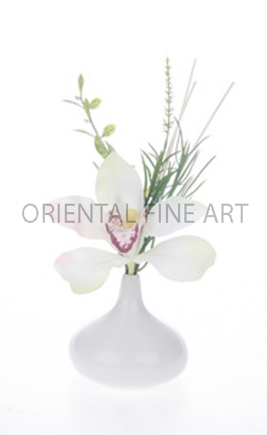 CR-58022-W 
CYMBIDIUM