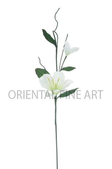 PY-0421-N 
AMARYLLIS / DOGWOOD