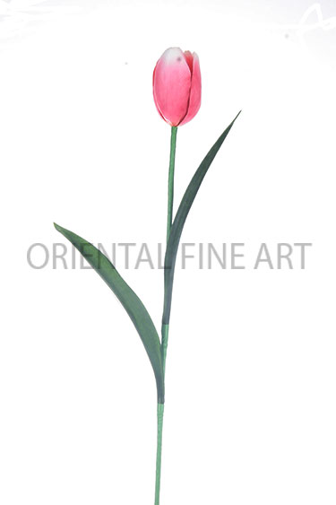 PT-0029-1-N 
BIG TULIP