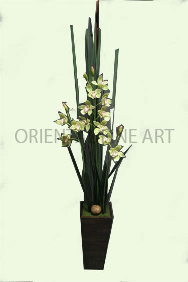 ARMC-57020-N 
CYMBIDIUM