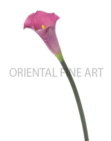 PT-0312-N 
CALLA LILY