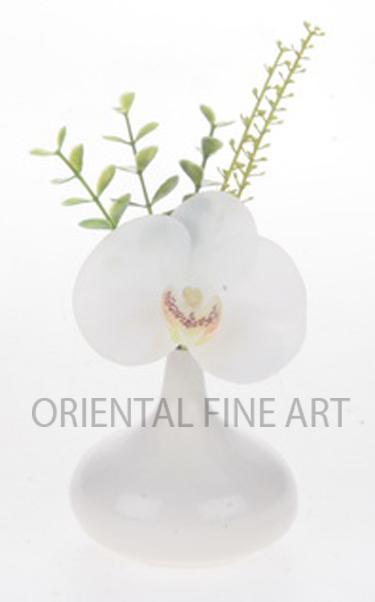 CR-58187-W 
PHALAENOPSIS