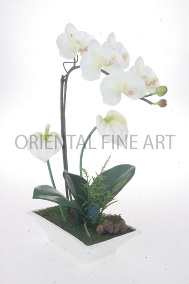 ARMC-57205-W 
PHALAENOPSIS AND ANTHURIUM