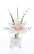 CYMBIDIUM