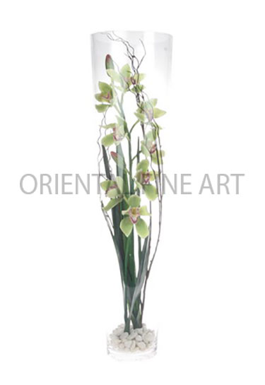 GLX-190-N 
CYMBIDIUM