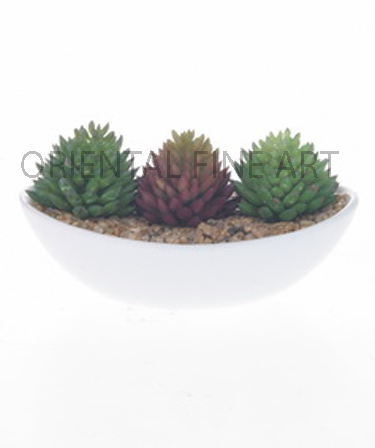 CR-58043-W 
CACTUS MIXED