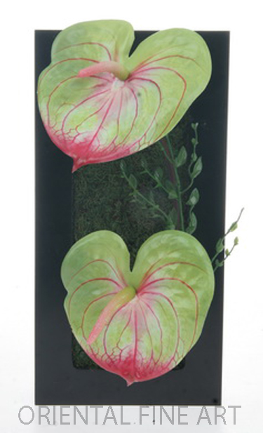 T16-MSC-61194-N 
ANTHURIUM