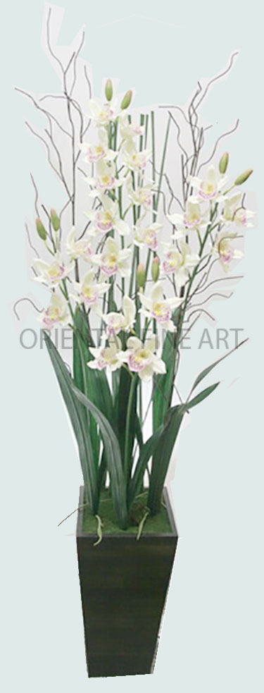 ARMC-57034-N 
BIG CYMBIDIUM