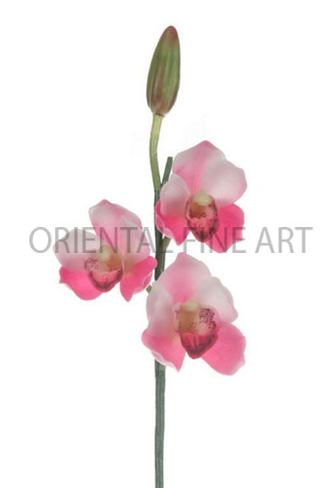 PY-0228-N 
CYMBIDIUM x 3 W/  BUD