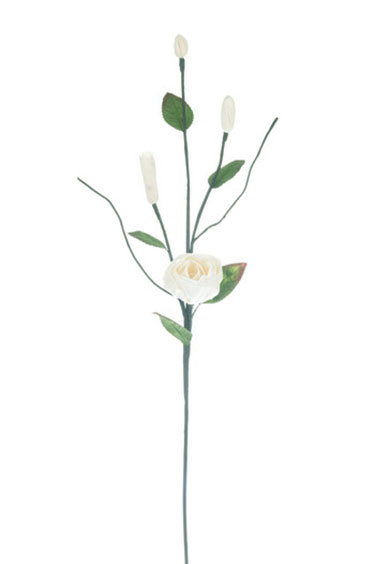 PY-0437-N 
ROSE / 3 BUDS