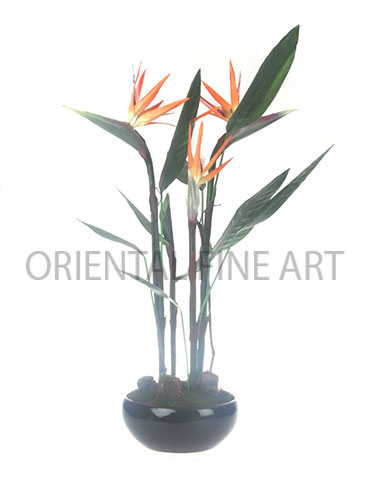 9914-226-B 
BIRD OF PARADISE