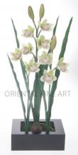 CYMBIDIUM