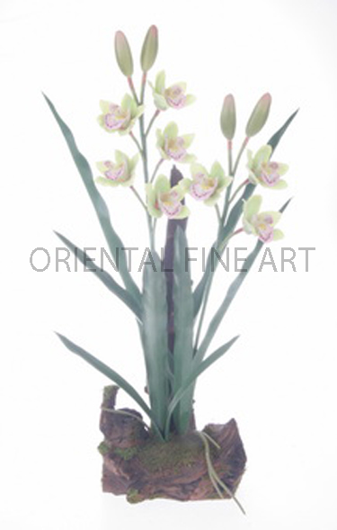 WR-57225-N 
CYMBIDIUM