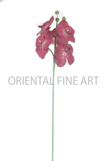 PY-0365-N 
BIG VANDA ORCHID