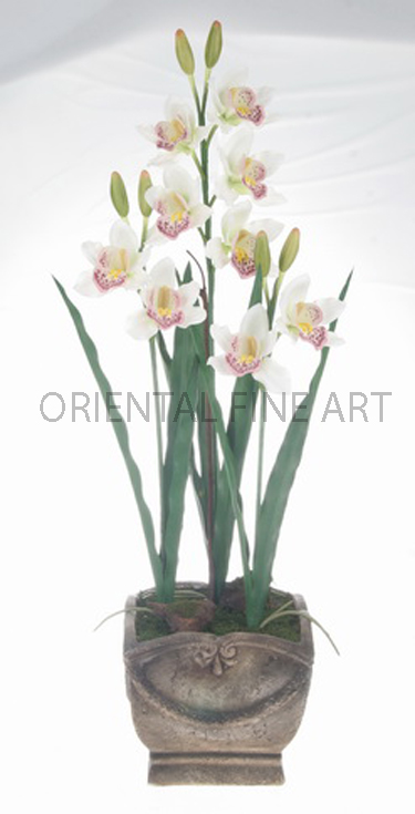 CR-59121-N 
BIG CYMBIDIUM