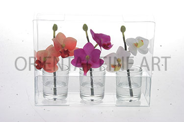 CH-12-359-L 
PHALAENOPSIS SET