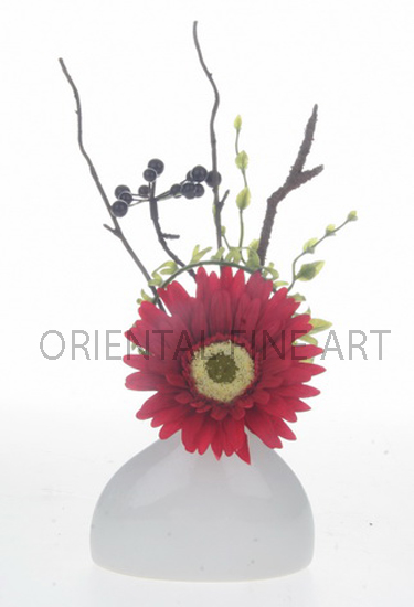 CR-58098-W 
GERBERA