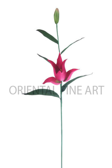 PY-0408-N 
LILY x 1W//1BUD