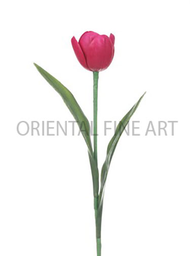 PT-0289-N 
TULIP