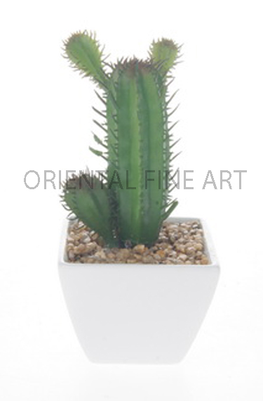 CR-58046-W 
CACTUS